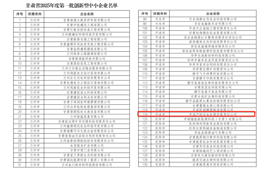 喜報(bào)！市產(chǎn)投集團(tuán)污水處理公司成功入圍甘肅省2025年度第一批創(chuàng)新型中小企業(yè)！(圖1)